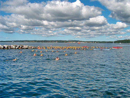 22. August 2009 11. Vilmschwimmen