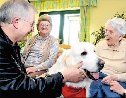 Erste Hilfe DRK-Rügen