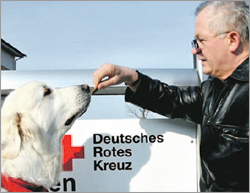 Erste Hilfe Insel Rügen