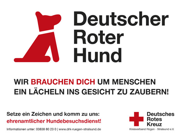 Bild: DEUTSCHER ROTE HUND