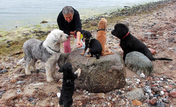 Wanderung mit Picknick. Bild: DRK
